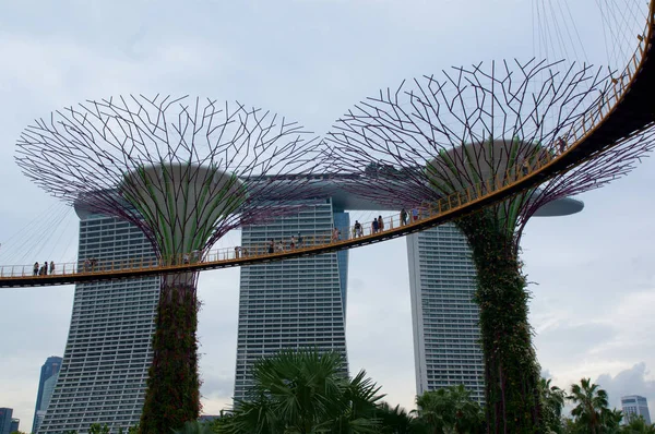 Singapore - 23 juli 2016: De weergave van de dag van de Supertree Grove op tuinen langs de baai. Spanning 101 hectare en op vijf minuten lopen van Bayfront Mrt Station. — Stockfoto