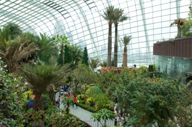 Singapur - 23 Temmuz 2016: çiçek kubbe içinde - Körfez Bahçe