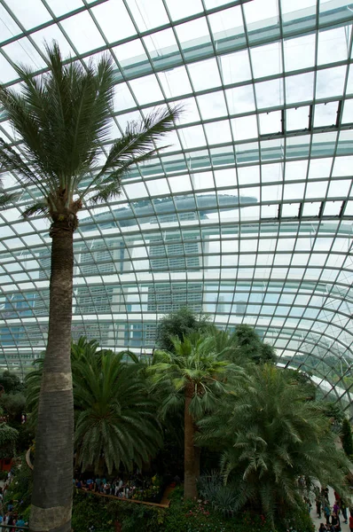 SINGAPUR - 23 de julio de 2016: Dentro de la Cúpula de las Flores - Jardín junto a la Bahía — Foto de Stock