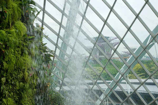 SINGAPORE - JULY 23rd, 2016: Inside of the Cloud Forest Dome - Garden by the Bay — Stock Photo, Image