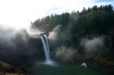 Seattle, Washington State, Amerika Birleşik Devletleri - 23 Ocak 2017: sis ağacıyla, Snoqualmie doğal görünümünü düşmek sis güneş ışığı ile bir sürü zaman.