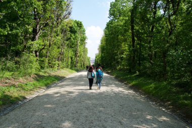 Vienna, Avusturya - 30 Nisan 2017: Schonbrunn Palace Schonbrunn Palace genel parkta. Onun Sissi İmparatoriçesi Elisabeth (Avusturya) modern Wien içinde eski imparatorluk 1441-Oda Rokoko yaz villası