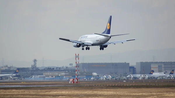 FRANKFURT, ALLEMAGNE - 28 février 2015 : Lufthansa Boeing 737-530, MSN 24824, immatriculation D-ABIL atterrissant sur une piste de l'aéroport international de Francfort FRA sous le soleil couchant . — Photo