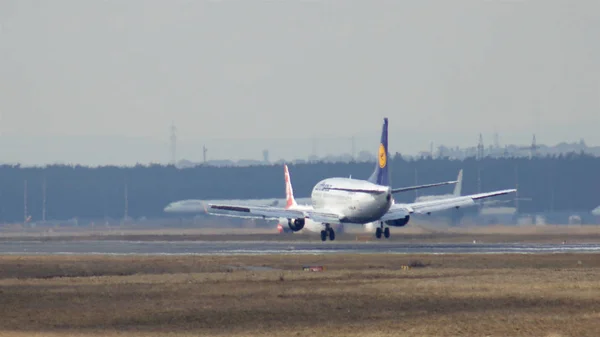 FRANKFURT, ALLEMAGNE - 28 février 2015 : Lufthansa Boeing 737-530, MSN 24824, immatriculation D-ABIL atterrissant sur une piste de l'aéroport international de Francfort FRA sous le soleil couchant . — Photo