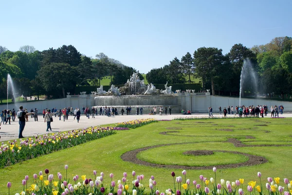 VIENNA, ÁUSTRIA - 30 de abril de 2017: Neptune Fountain Neptunbrunnen em grande parterre do parque público de Schoenbrunn com flores em primeiro plano, palácio de Schoenbrunn - antiga residência imperial de verão — Fotografia de Stock