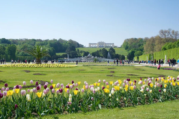 VIENNA, ÁUSTRIA - 30 de abril de 2017: Neptune Fountain Neptunbrunnen em grande parterre do parque público de Schoenbrunn com flores em primeiro plano e Gloriette na parte de trás, palácio de Schoenbrunn - antigo — Fotografia de Stock