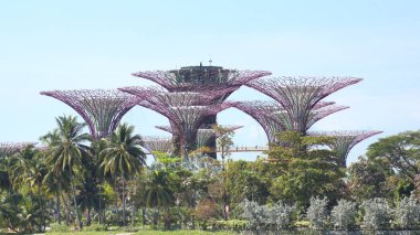 Singapur - 2 Nisan 2015: Supertree Grove Gardens Körfez Singapur gün görünümü. Yayma 101 hektar ve Bayfront Mrt İstasyonu'na 5 dakikalık yürüme.
