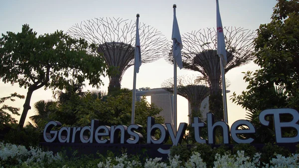 Singapore - Apr 3e 2015: The Supertree op tuinen langs de baai en luxe hotel Marina Bay Sands op de achtergrond tijdens zonsondergang — Stockfoto