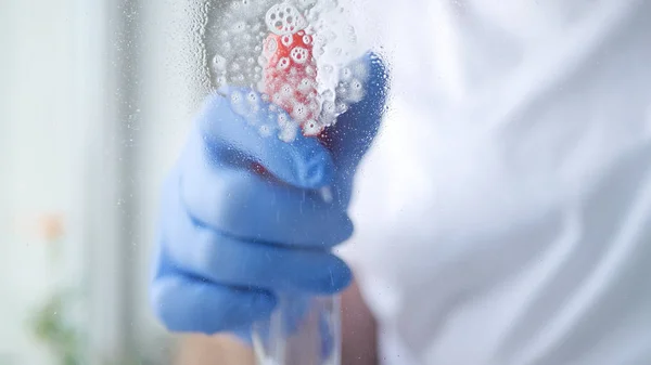 Erkek Ellerini Mavi Eldivenle Kapat Pencereyi Temizle Sprey Sıvı Kullan