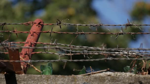 Mur protégé avec du fil barbelé dans un périmètre de sécurité 