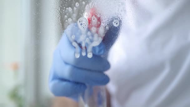 Close Up Hombre Manos con guantes azules Limpieza de una ventana con líquido pulverizado — Vídeo de stock