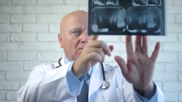 Dentist Examines a Dental X-Ray Carefully in Medical Office — Stock Video