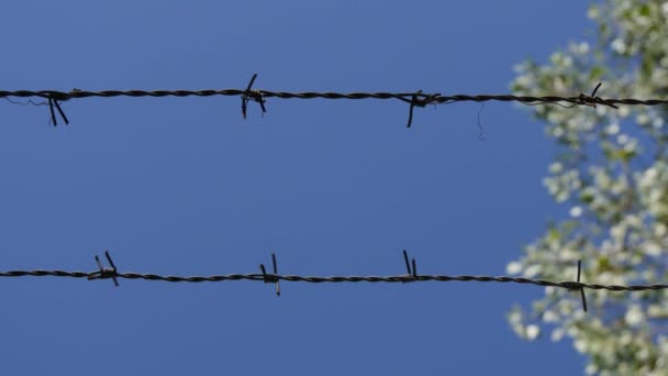 Valla metálica con alambre de púas en la frontera que limita una zona de acceso prohibido — Vídeos de Stock