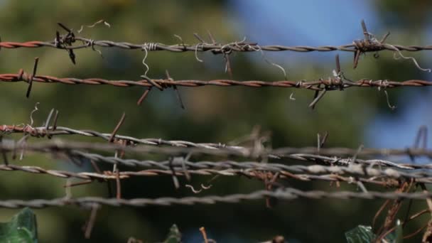 Valla metálica con alambre de púas que limita un área de protección de la prisión — Vídeo de stock