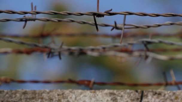 Metallic Fence Barbed Wire Delimiting Restricted Area — 图库视频影像