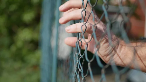 Desperate Man Hands Hanging on a Metallic Fence Inside a Prison, Quarantine and Protection Area Concept — Stockfoto