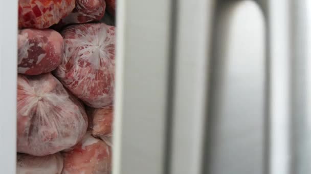 Congelador lleno de carne y paquetes vegetales congelados en bolsas de plástico Reserva de alimentos almacenada para la preparación de alimentos — Vídeos de Stock