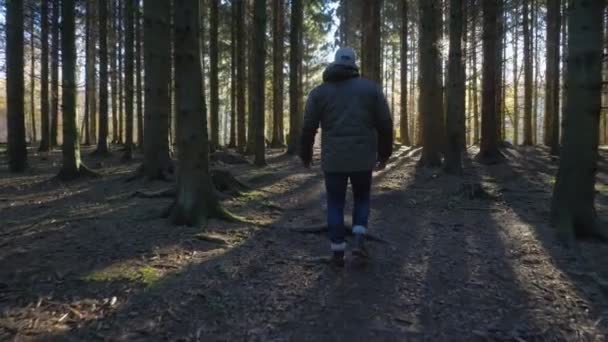 Чоловік, що йде стежкою, кидає ялиновий ліс — стокове відео