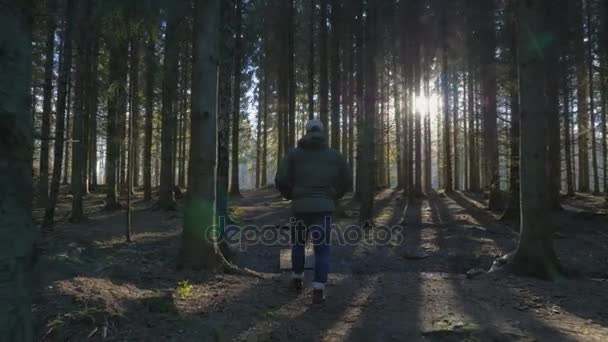Homem caminhando em um caminho através de uma floresta de abetos — Vídeo de Stock