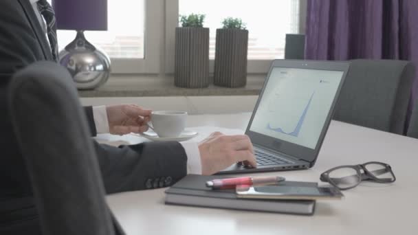 Hombre de negocios mirando gráficos de datos en su cálculo — Vídeos de Stock