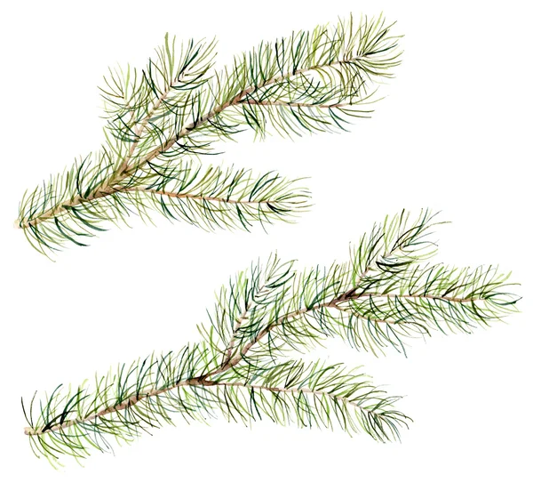 Sulu Boya Noel ağacı seti dalları. El illüstrasyon köknar-iğne ile doğal unsurlar izole beyaz zemin üzerine boyalı. Kış doğal öğe için tasarım, yazdırma veya arka plan. — Stok fotoğraf