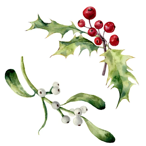 Aquarell Stechpalme und Mistel Set. handgemaltes weihnachtliches florales Element isoliert auf weißem Hintergrund. botanische Illustration für Design — Stockfoto