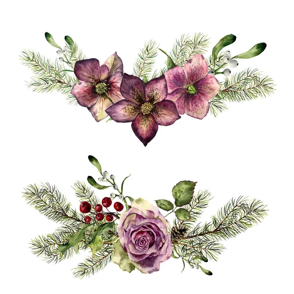 Acuarela invierno elementos florales con abeto aislado sobre fondo blanco. Set de estilo vintage con ramas de árbol de Navidad, rosa, acebo, muérdago, flor del infierno, hojas. Diseño pintado a mano flor — Foto de Stock