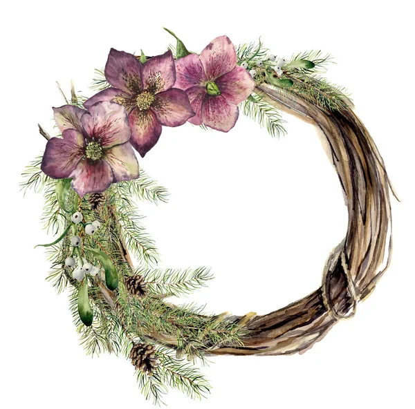 Sulu Boya Noel çelenk Karaca ot çiçek ile. Yeni yıl ağacı ve ahşap şube çelenk ökse otu ve Noel rose için tasarım, yazdırma veya arka plan — Stok fotoğraf