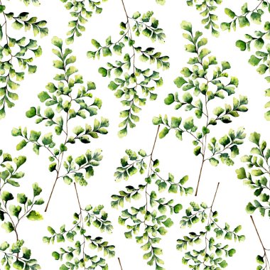 Baldırıkara otu fern ile sulu boya Dikişsiz desen bırakır. Fern süsleme el boyalı. Çiçek illüstrasyon izole beyaz arka plan üzerinde. Tasarım, Tekstil ve arka planı için.