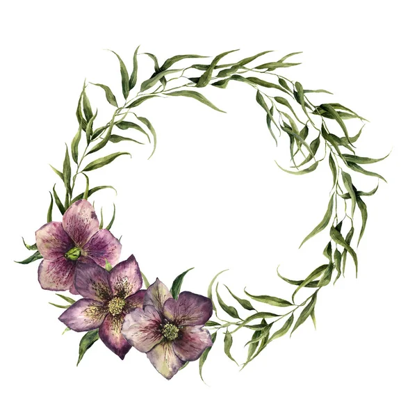 Watercolor eucalyptus wreath with hellebore flowers. Eucalyptus — Stock Photo, Image