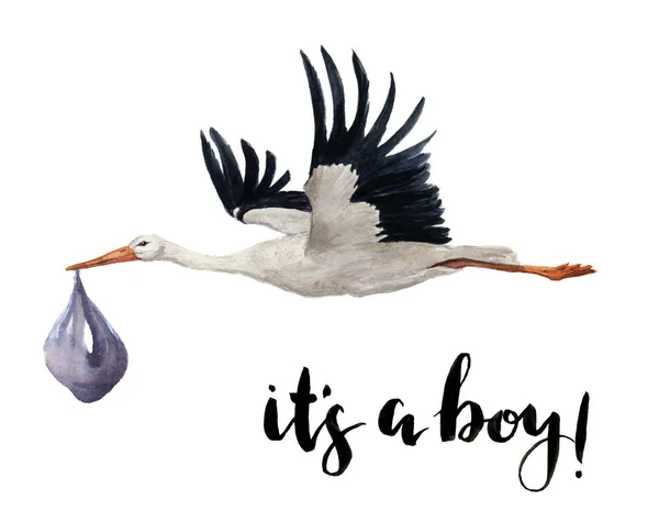 Aquarell handbemalter fliegender Weißstorch mit Baby. handgemalte Ciconia-Vogel-Illustration isoliert auf weißem Hintergrund. für Design, Drucke oder Hintergrund — Stockfoto