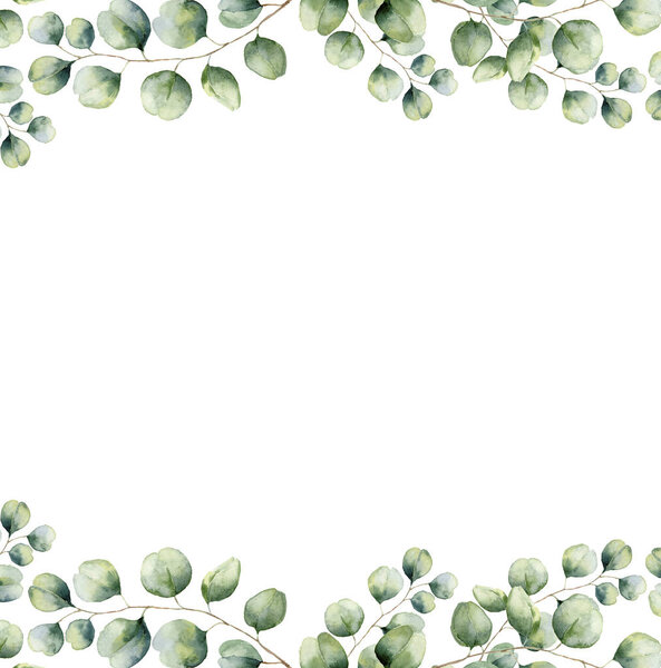 Watercolor green floral frame card with silver dollar eucalyptus leaves. Hand painted border with branches and leaves of eucalyptus isolated on white background. For design or background