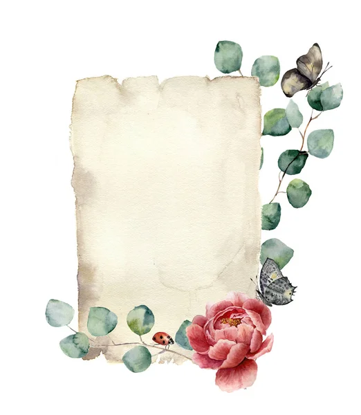 Akvarell spring kort med eukalyptus, pion blomma, fjäril och nyckelpiga. Handmålade pappersstruktur med insekts- och blommönster isolerad på vit bakgrund. Illustration för design, print. — Stockfoto