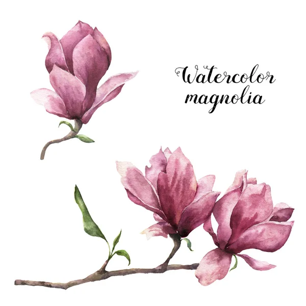 Aquarel magnolia. Handgeschilderde bloemen botanische illustratie geïsoleerd op een witte achtergrond. Roze bloem voor ontwerp, afdrukken of stof. — Stockfoto