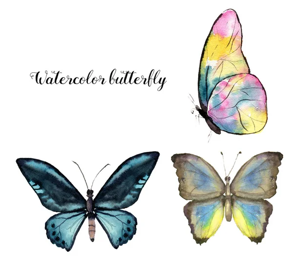 Акварельная бабочка. Коллекция окрашенных вручную насекомых изолирована на белом фоне. Иллюстрация для дизайна, печати . — стоковое фото