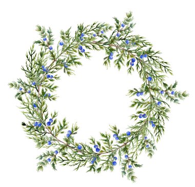 Suluboya ardıç çelenk. El ile çilek beyaz arka plan üzerinde evergreen şube boyalı. Botanik gösterim amacıyla tasarım veya Yazdır.