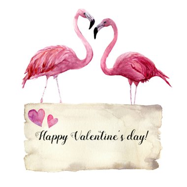 Watercolor card with couple of flamingo and Happy Valentines Day inscription. Exotic hand painted bird illustration and paper texture isolated on white background. For design, prints clipart