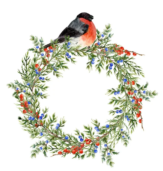 Watercolor juniper wreath with red berries and bullfinch. Hand painted evergreen branch with berries and bird on white background. Botanical illustration for design or print. — Stock Photo, Image