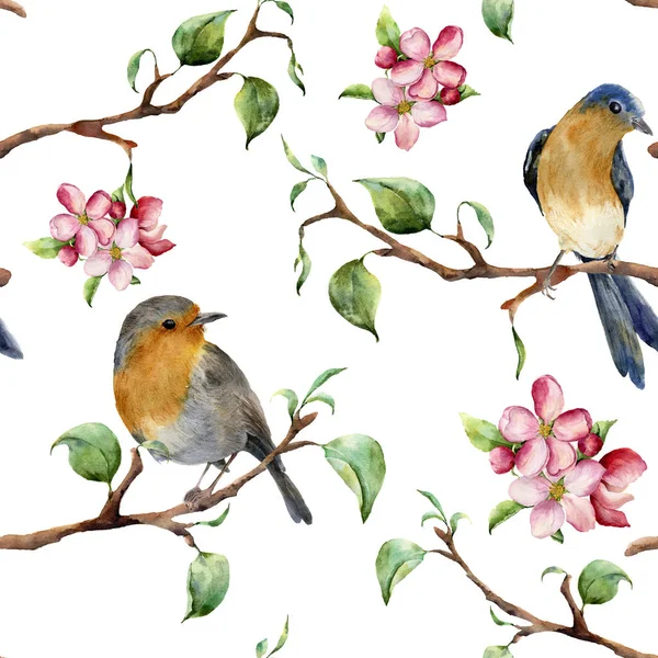 Akwarela wzór z gałęzi drzew, ptaków i jabłoni. Ręcznie malowane wiosna ornament z Robinem redbreads i kwiatowy elementy z liści na białym tle. Do projektowania i tkaniny — Zdjęcie stockowe