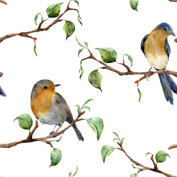 Aquarel patroon met takken en vogels. Hand geschilderd voorjaar sieraad met robin redbreads en florale elementen met bladeren geïsoleerd op een witte achtergrond. Voor ontwerp en stof — Stockfoto