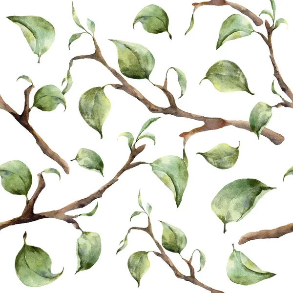Patrón de acuarela con ramas y hojas de árbol. Adorno de primavera pintado a mano con elementos florales con hojas aisladas sobre fondo blanco. Para diseño y tela — Foto de Stock