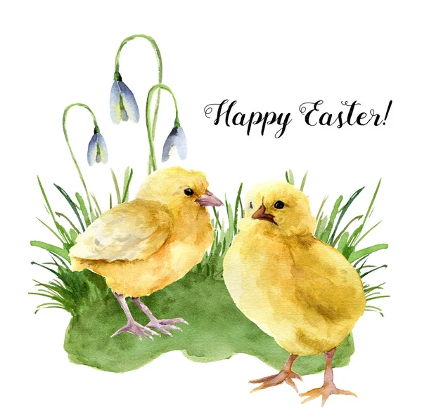 Watercolor easter card with young chicken, grass and snowdrop. Holiday print with Happy Easter lettering isolated on white background. For design. — Stock Photo, Image
