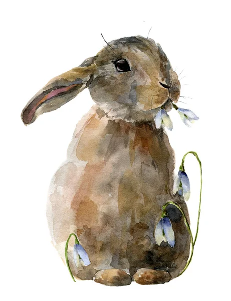 Акварель Пасхальный кролик с подснежниками. Ручная раскрашенная карточка с традиционными символами на белом фоне. Симпатичный кролик для дизайна . — стоковое фото