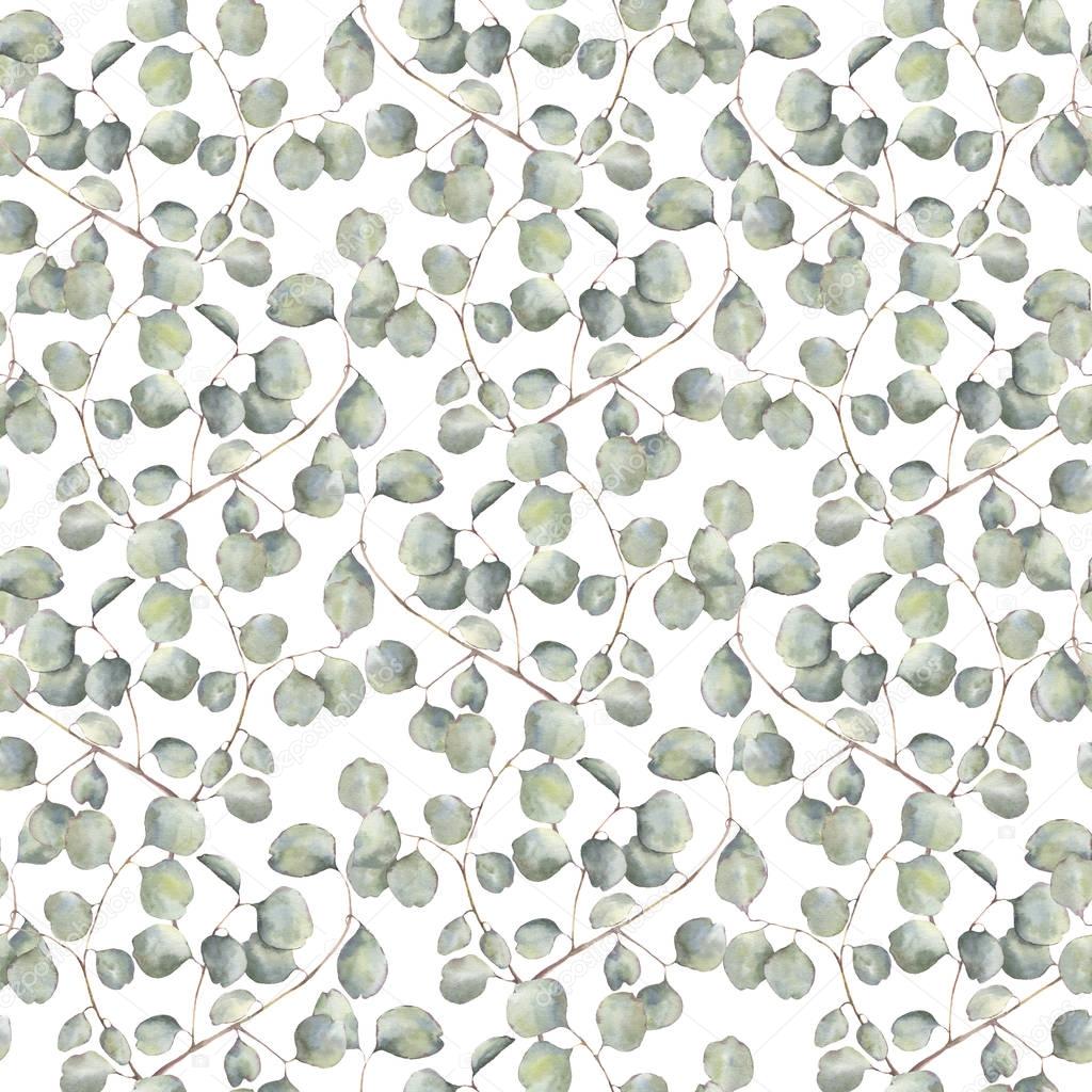 Watercolor pattern with silver dollar eucalyptus. Hand painted ornament with branches with leaves isolated on white background. Natural print for design, fabric.
