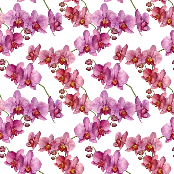 Padrão sem costura aquarela com orquídeas. Mão pintado floral bo — Fotografia de Stock