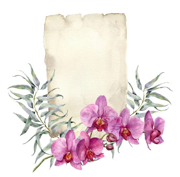 Акварельне запрошення з орхідеями та листям евкаліпта. Ручна розфарбована квіткова ботанічна ілюстрація ізольована на білому тлі. Для дизайну або друку . — стокове фото