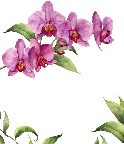 Aquarell florale Karte mit Orchideen und Blättern. handgemalte florale botanische Illustration isoliert auf weißem Hintergrund. für Design oder Druck. — Stockfoto