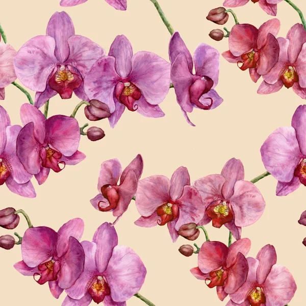 Akvarell mönster med orkidéer. Handmålade floral botaniska prydnad. För konstruktions-, tyg- eller Skriv ut. — Stockfoto