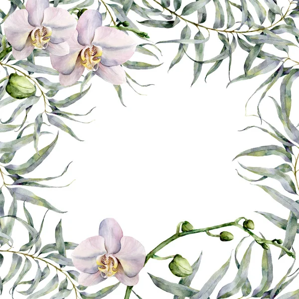 Aquarel tropic kaart met witte orchideeën en eucalyptus. Handgeschilderde bloemen botanische illustratie met eucalyptus tak en exotische bloemen geïsoleerd op een witte achtergrond. Voor het ontwerp of print. — Stockfoto