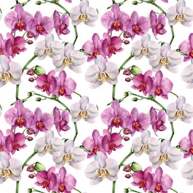 Orkide ile suluboya çiçek desenli. Beyaz ve mor çiçekler ile botanik süsleme el boyalı. Tasarım, kumaş veya baskı için.